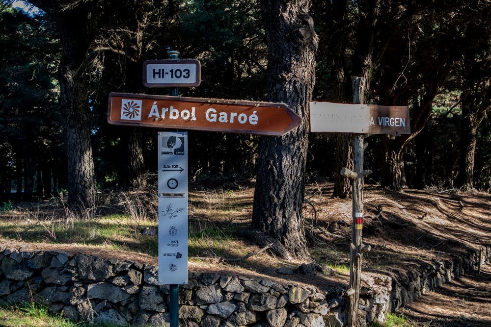 Hinweisschild zum Arbol Garoé