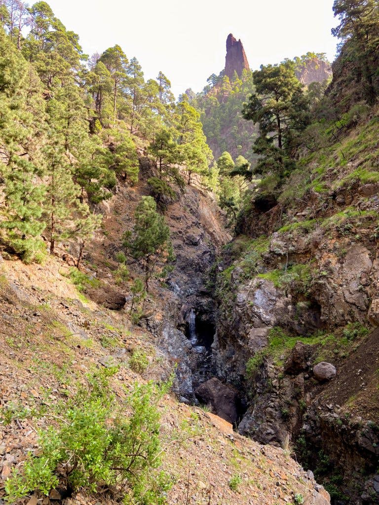Blick vom Aufstiegsweg Caldera de Taburiente in den Barranco Río Almendra Amargo