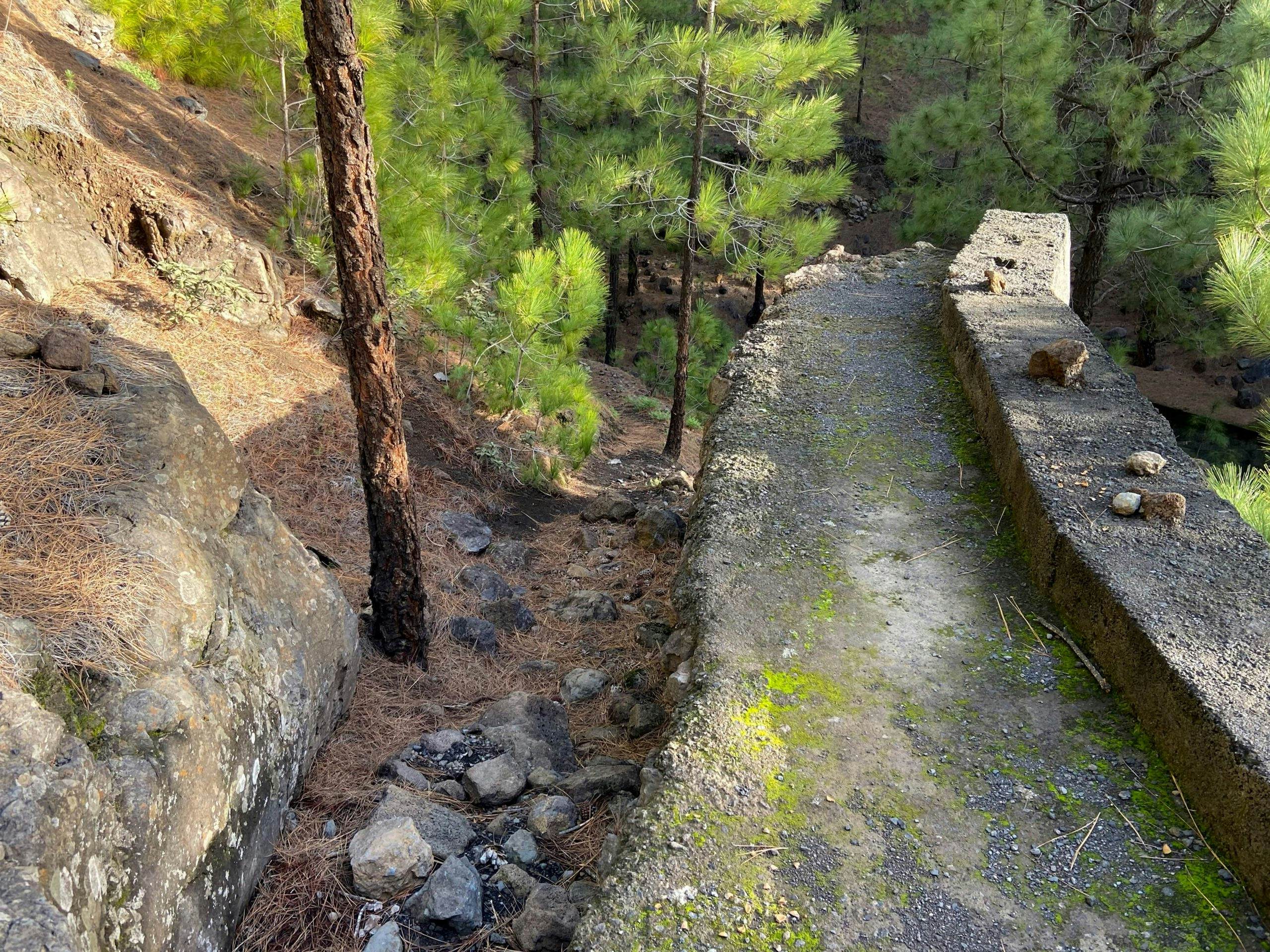 Mauer im Wald am Ende der Pista de Valencia - Barranco Querung