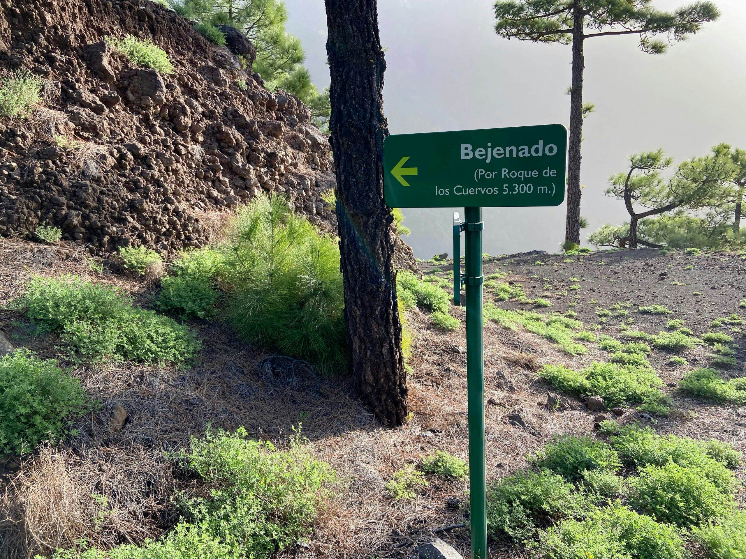 Beginn des steilen Pfades zum Pico Bejenado über den Roque de los Cuervos