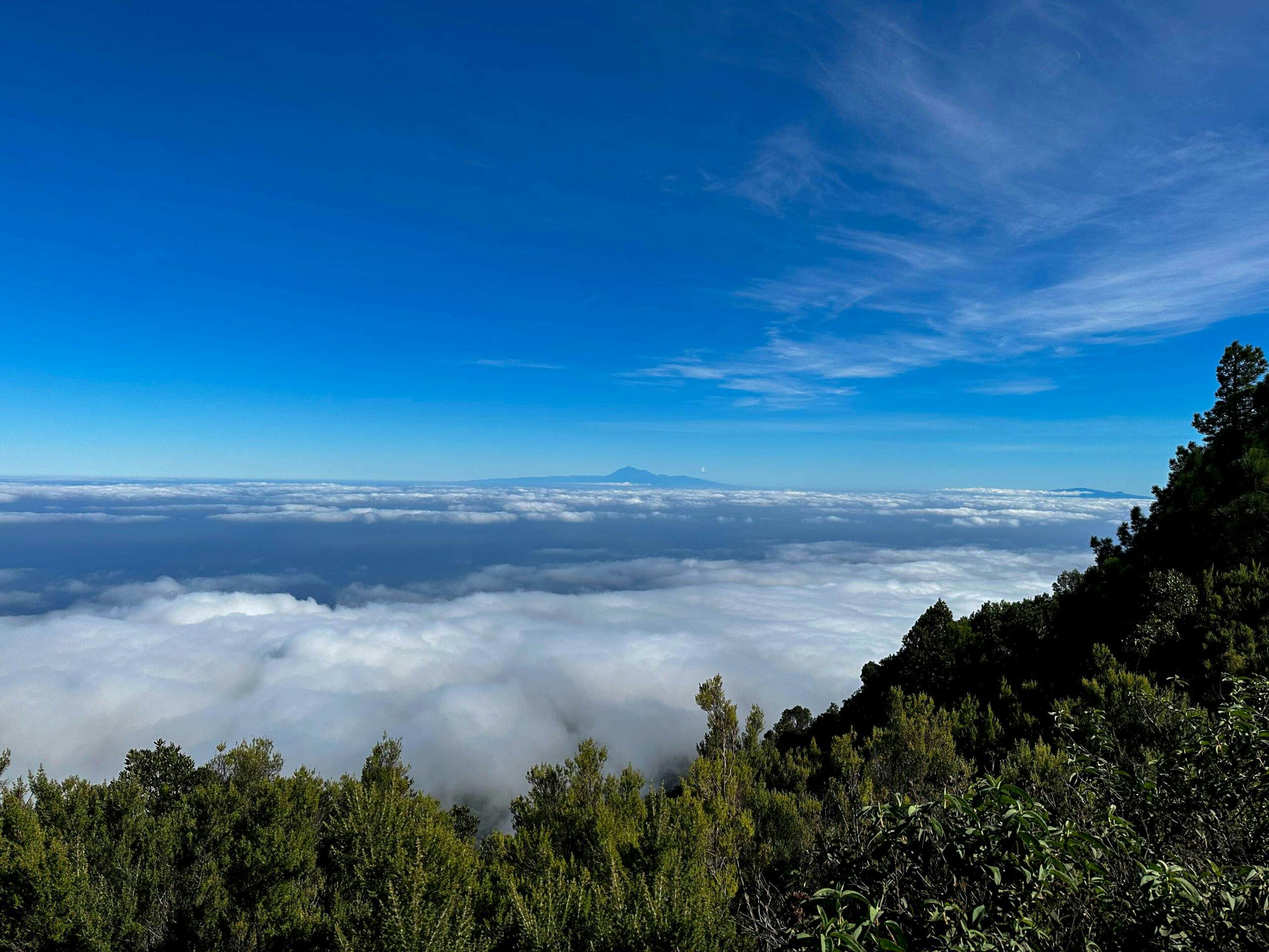 Blick über die Wolken nach Teneriffa und La Gomera