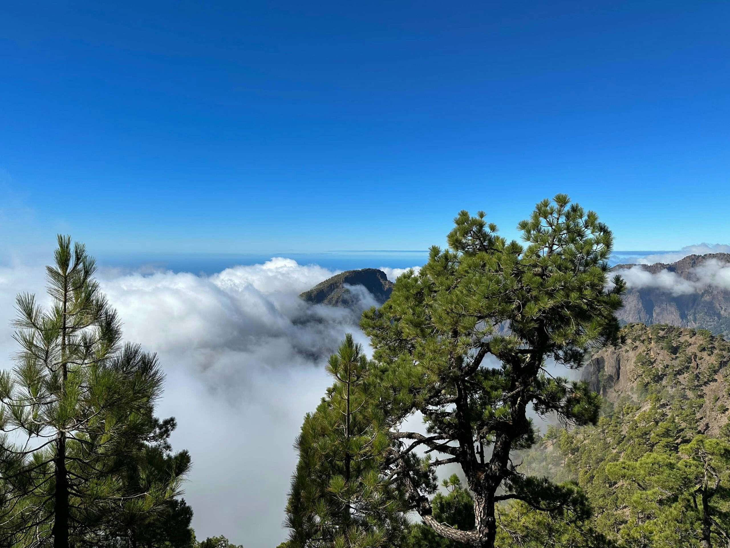 Wandern über Wolken - Pico Bejenado Gipfel schaut aus den Wolken