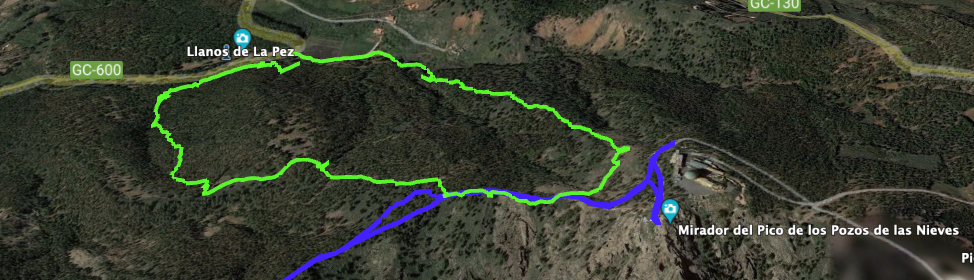 Variante Track: Kleine Rundtour von Llanos de la Pez zum Pico de las Nieves (grün)
